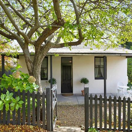 Hills Havens Cottages Leura Exteriör bild