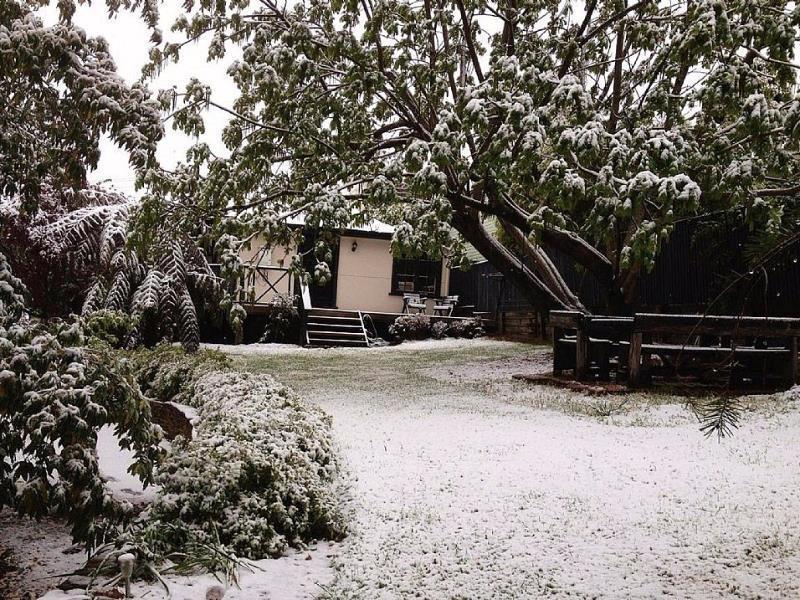 Hills Havens Cottages Leura Exteriör bild