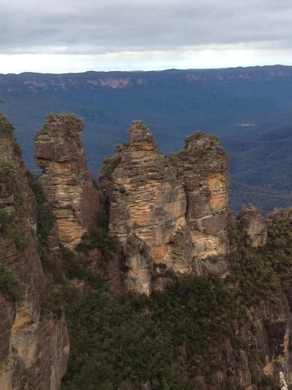 Hills Havens Cottages Leura Rum bild