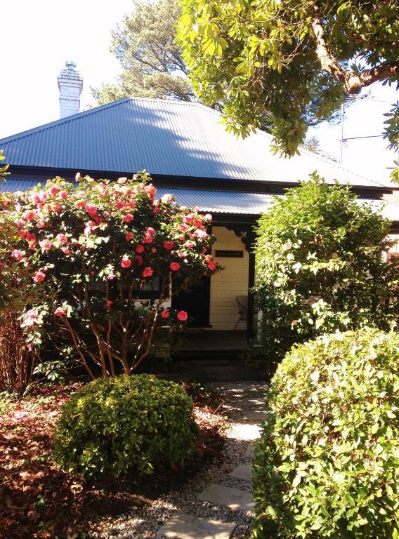 Hills Havens Cottages Leura Exteriör bild