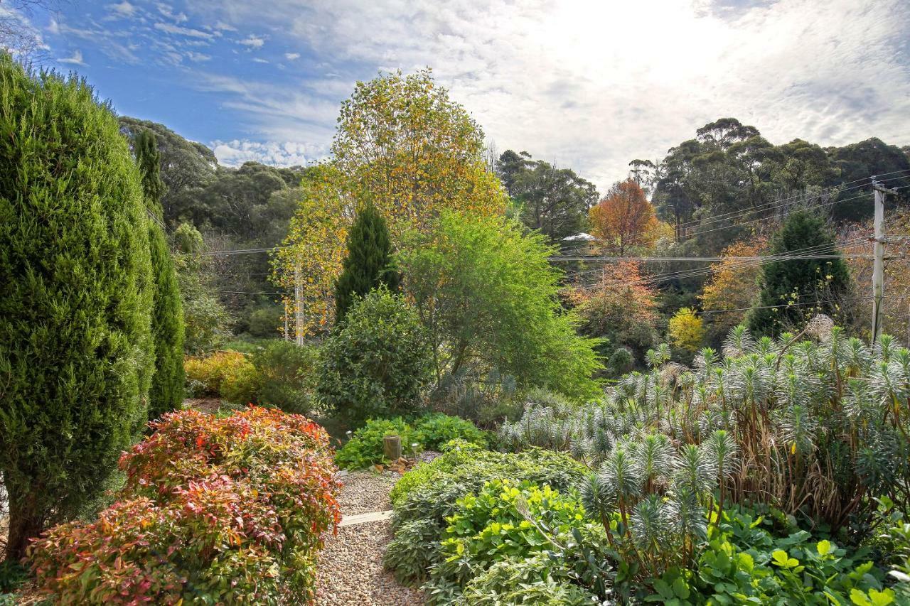 Hills Havens Cottages Leura Exteriör bild
